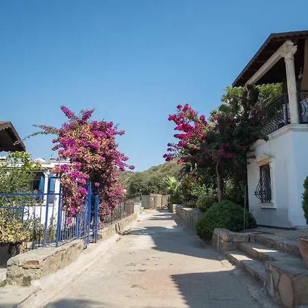 Villa Charming House With Amazing Sea View In Bodrum