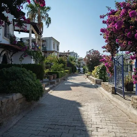 Villa Charming House With Amazing Sea View In Bodrum Gümüşlük